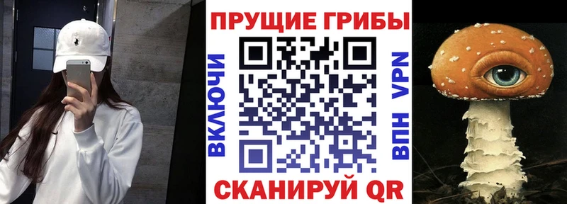 Галлюциногенные грибы Cubensis  купить   Валдай 